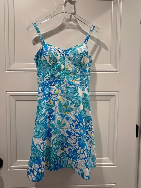 Lilly Pulitzer Dresses & Skirts - Lilly Pulitzer Willow Dress in a Pinch Print - size 2
